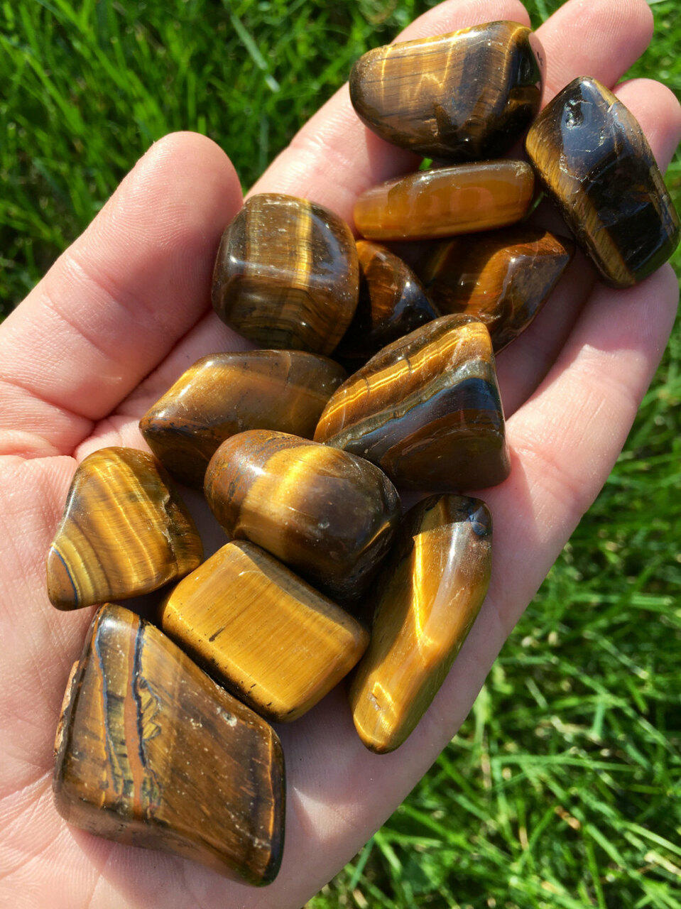 Tiger Eye